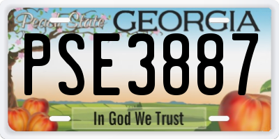 GA license plate PSE3887