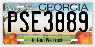 GA license plate PSE3889