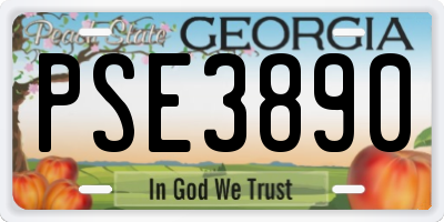 GA license plate PSE3890