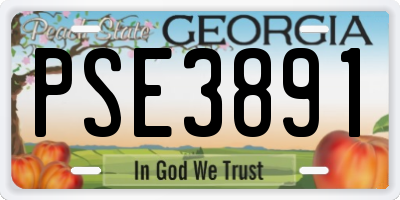 GA license plate PSE3891