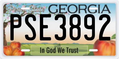 GA license plate PSE3892