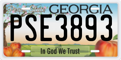 GA license plate PSE3893