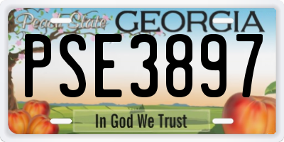 GA license plate PSE3897