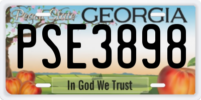 GA license plate PSE3898