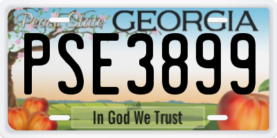GA license plate PSE3899