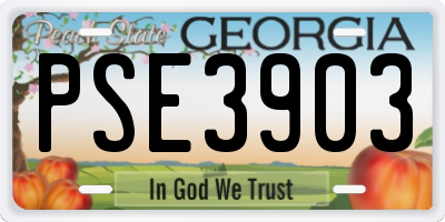 GA license plate PSE3903