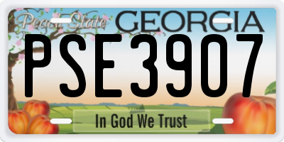 GA license plate PSE3907