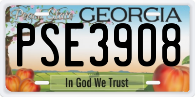 GA license plate PSE3908
