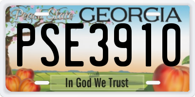 GA license plate PSE3910