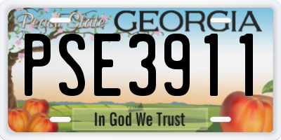 GA license plate PSE3911