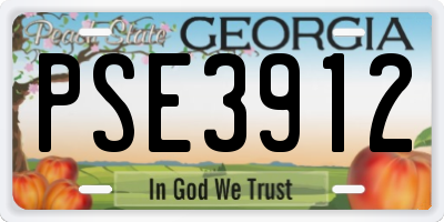 GA license plate PSE3912