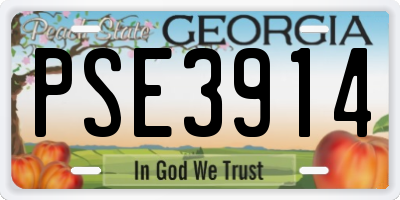 GA license plate PSE3914