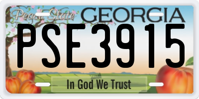 GA license plate PSE3915