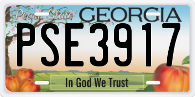 GA license plate PSE3917