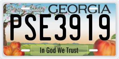 GA license plate PSE3919