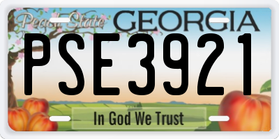 GA license plate PSE3921