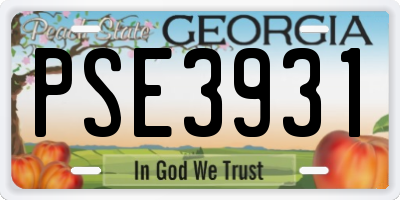 GA license plate PSE3931