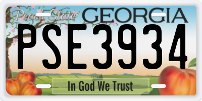 GA license plate PSE3934