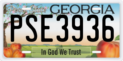 GA license plate PSE3936