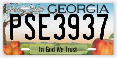 GA license plate PSE3937