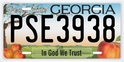 GA license plate PSE3938