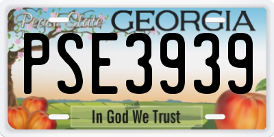 GA license plate PSE3939