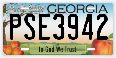 GA license plate PSE3942