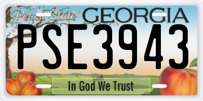 GA license plate PSE3943