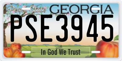 GA license plate PSE3945