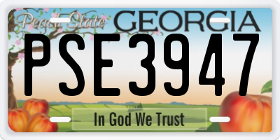GA license plate PSE3947