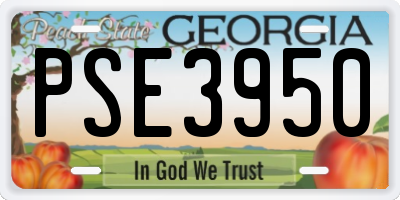 GA license plate PSE3950