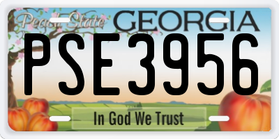 GA license plate PSE3956