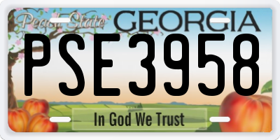 GA license plate PSE3958
