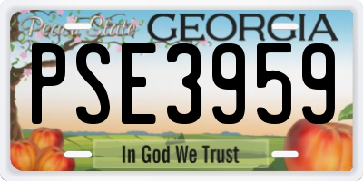 GA license plate PSE3959
