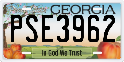 GA license plate PSE3962