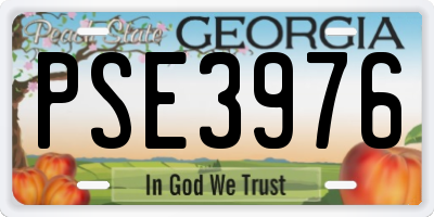 GA license plate PSE3976