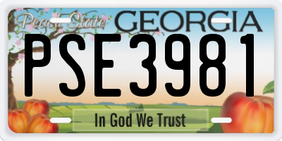 GA license plate PSE3981