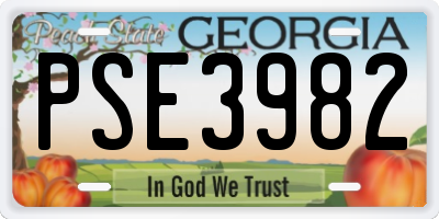 GA license plate PSE3982