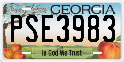 GA license plate PSE3983