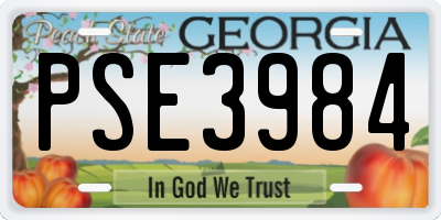 GA license plate PSE3984