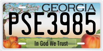 GA license plate PSE3985