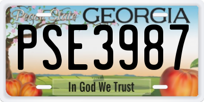 GA license plate PSE3987