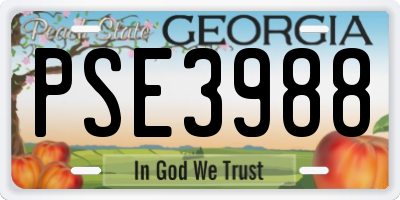 GA license plate PSE3988