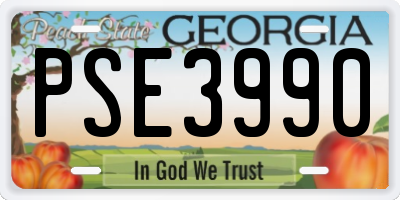 GA license plate PSE3990