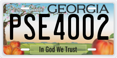 GA license plate PSE4002