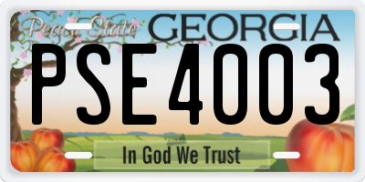 GA license plate PSE4003