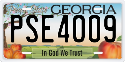 GA license plate PSE4009