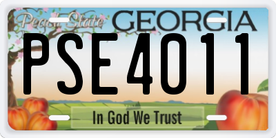 GA license plate PSE4011
