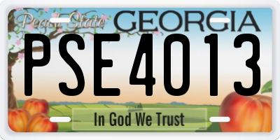 GA license plate PSE4013