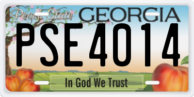 GA license plate PSE4014